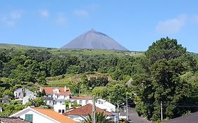 Casavó